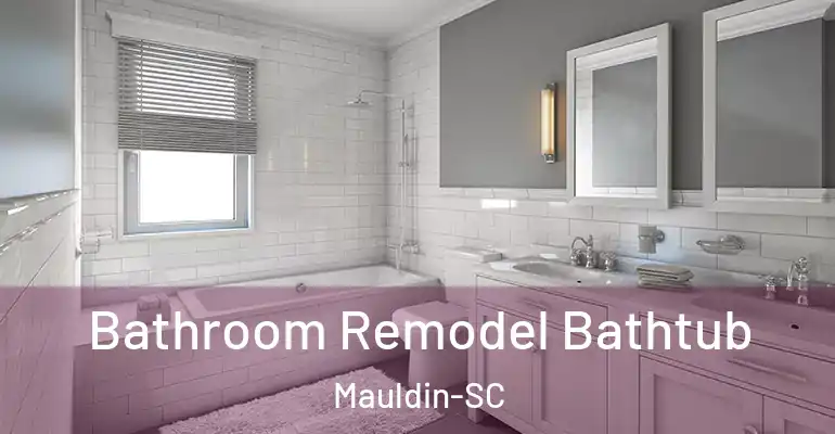 inner Bathroom imggen Bathroom Remodel Bathtub Mauldin-SC