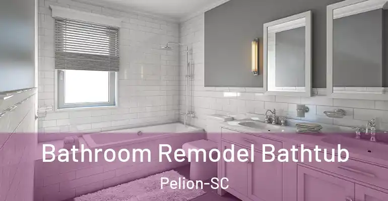 inner Bathroom imggen Bathroom Remodel Bathtub Pelion-SC