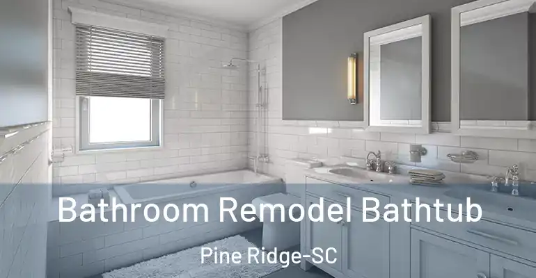 inner Bathroom imggen Bathroom Remodel Bathtub Pine Ridge-SC