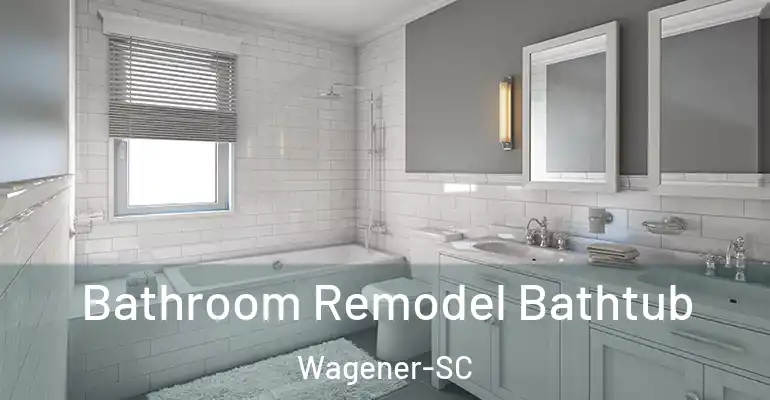inner Bathroom imggen Bathroom Remodel Bathtub Wagener-SC