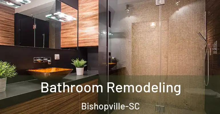 inner Bathroom imggen Bathroom Remodeling Bishopville-SC