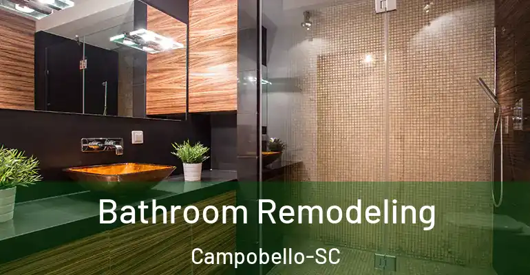 inner Bathroom imggen Bathroom Remodeling Campobello-SC