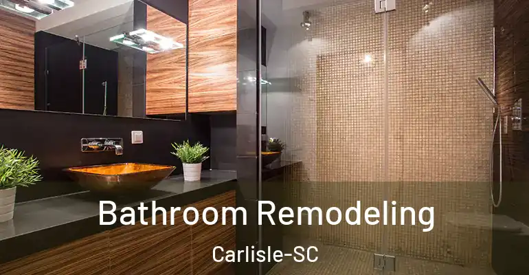 inner Bathroom imggen Bathroom Remodeling Carlisle-SC