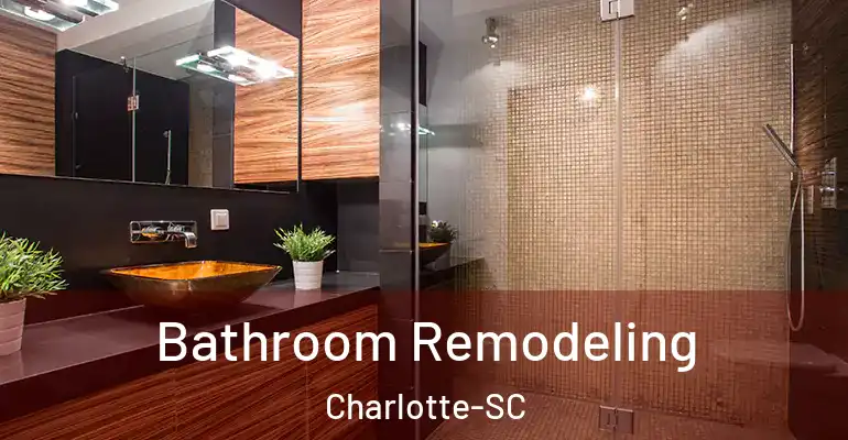 inner Bathroom imggen Bathroom Remodeling Charlotte-SC
