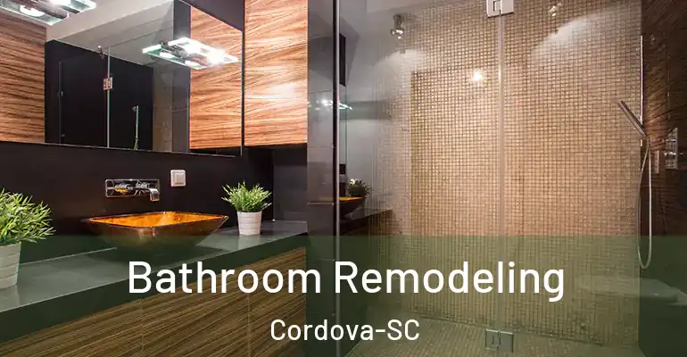 inner Bathroom imggen Bathroom Remodeling Cordova-SC
