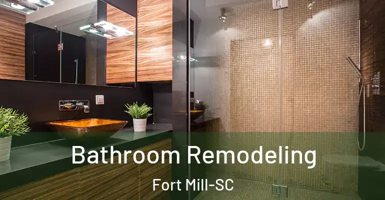 inner Bathroom imggen Bathroom Remodeling Fort Mill-SC