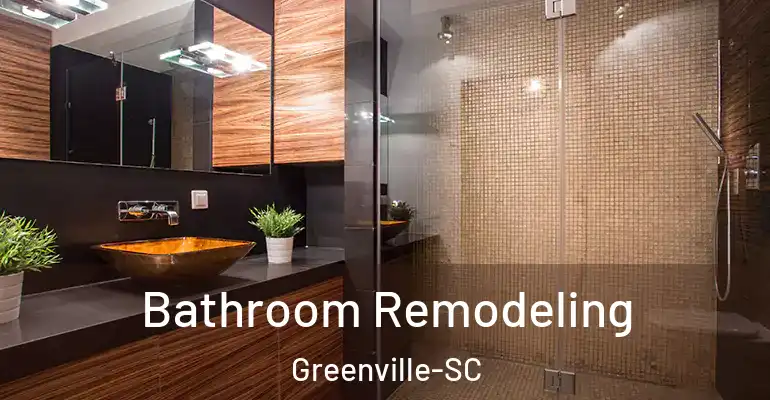 inner Bathroom imggen Bathroom Remodeling Greenville-SC