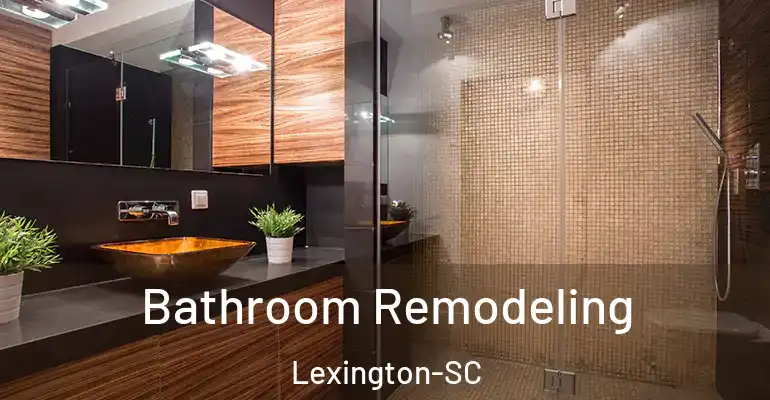 inner Bathroom imggen Bathroom Remodeling Lexington-SC