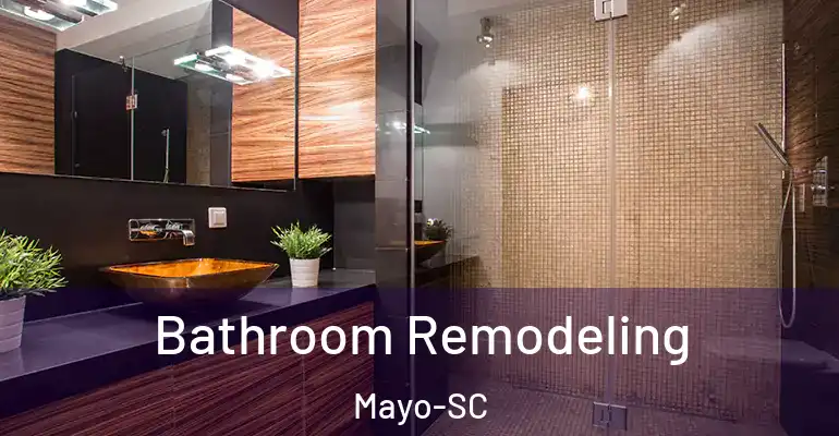 inner Bathroom imggen Bathroom Remodeling Mayo-SC