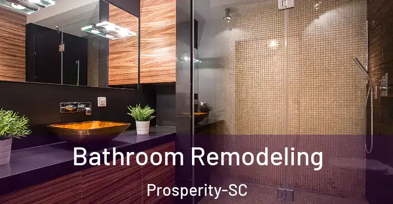 inner Bathroom imggen Bathroom Remodeling Prosperity-SC