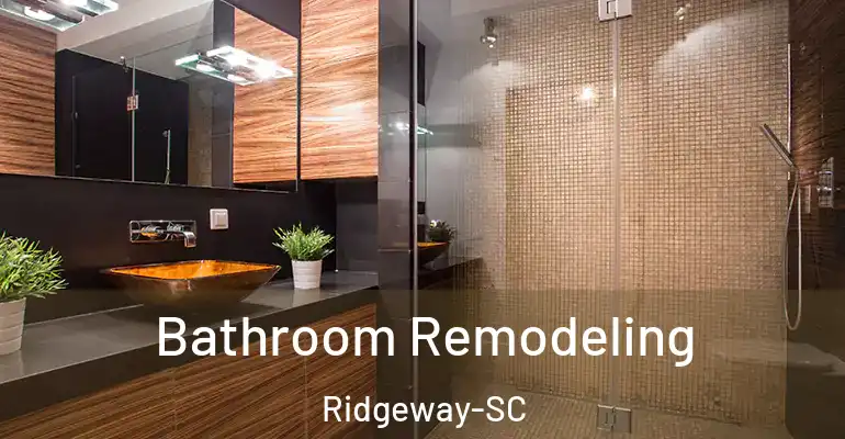 inner Bathroom imggen Bathroom Remodeling Ridgeway-SC
