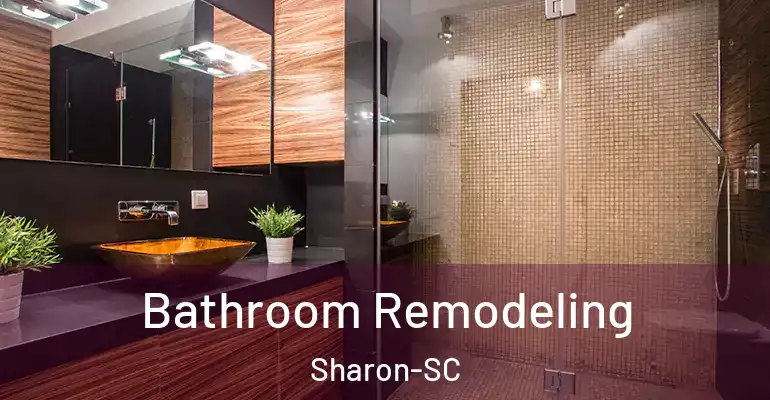 inner Bathroom imggen Bathroom Remodeling Sharon-SC