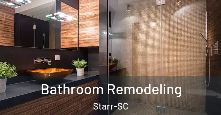 inner Bathroom imggen Bathroom Remodeling Starr-SC
