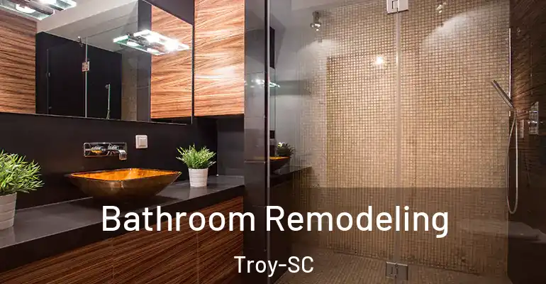 inner Bathroom imggen Bathroom Remodeling Troy-SC