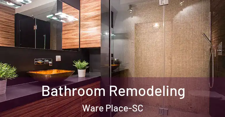 inner Bathroom imggen Bathroom Remodeling Ware Place-SC