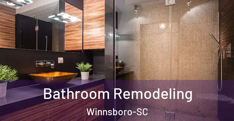 inner Bathroom imggen Bathroom Remodeling Winnsboro-SC