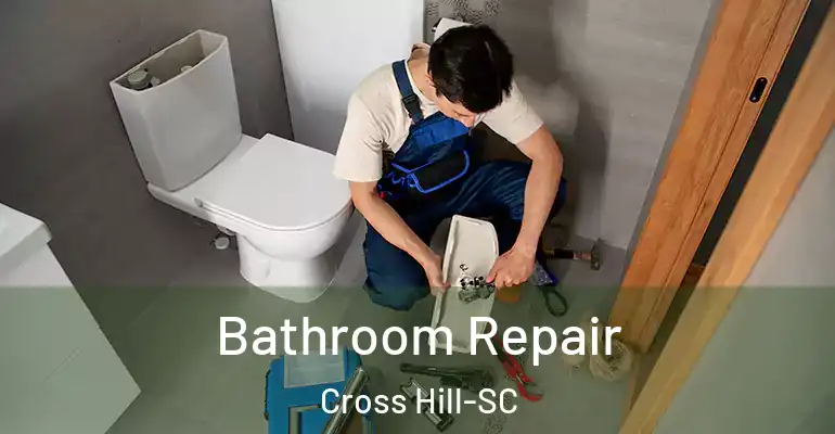 inner Bathroom imggen Bathroom Repair Cross Hill-SC