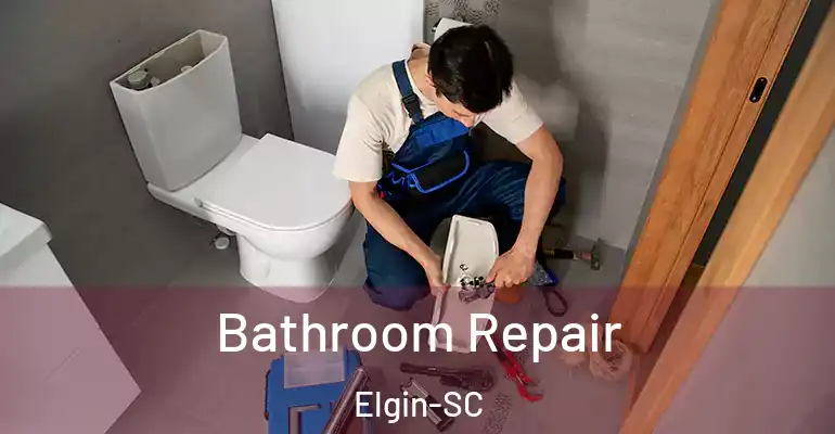 inner Bathroom imggen Bathroom Repair Elgin-SC