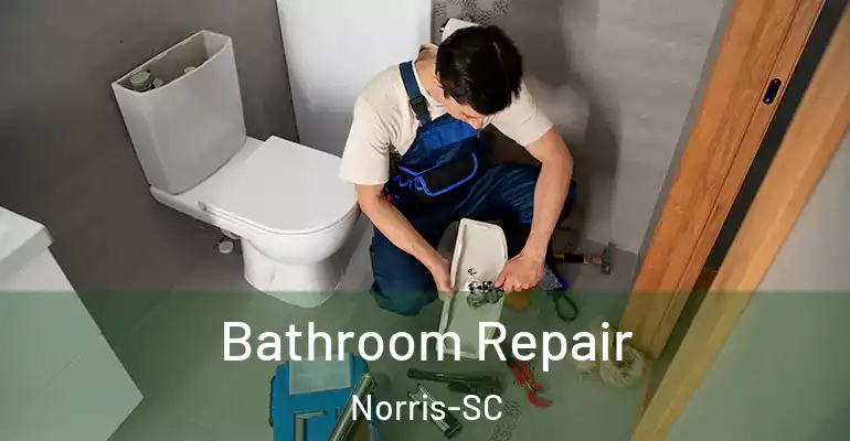 inner Bathroom imggen Bathroom Repair Norris-SC