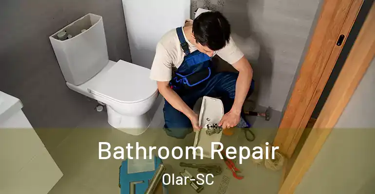 inner Bathroom imggen Bathroom Repair Olar-SC