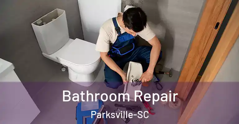 inner Bathroom imggen Bathroom Repair Parksville-SC