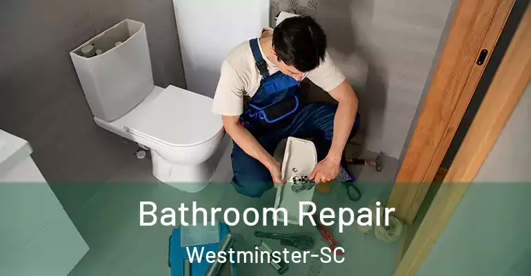 inner Bathroom imggen Bathroom Repair Westminster-SC