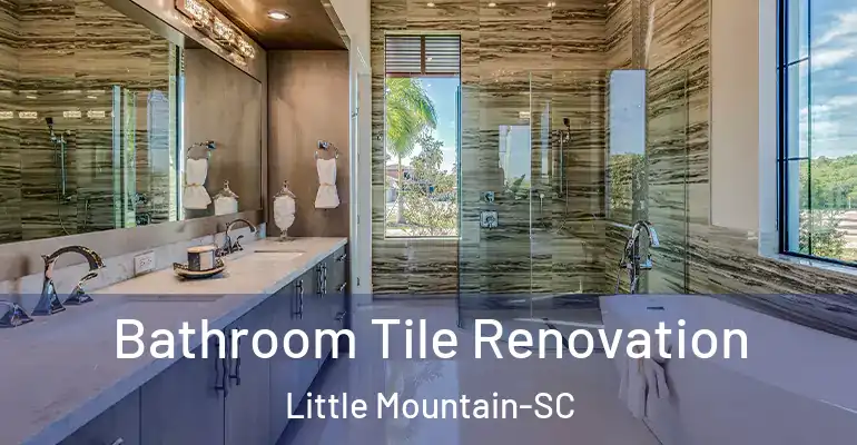 inner Bathroom imggen Bathroom Tile Renovation Little Mountain-SC