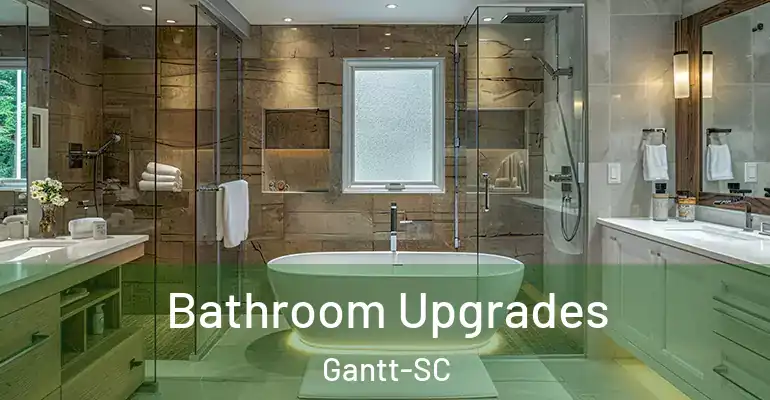 inner Bathroom imggen Bathroom Upgrades Gantt-SC
