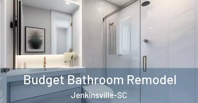 inner Bathroom imggen Budget Bathroom Remodel Jenkinsville-SC