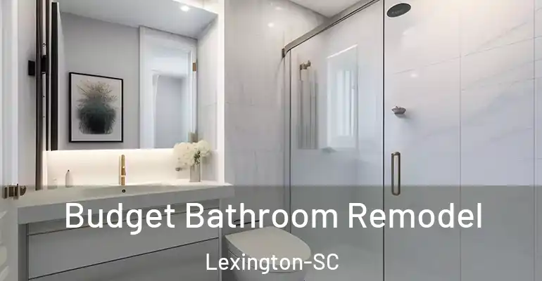 inner Bathroom imggen Budget Bathroom Remodel Lexington-SC