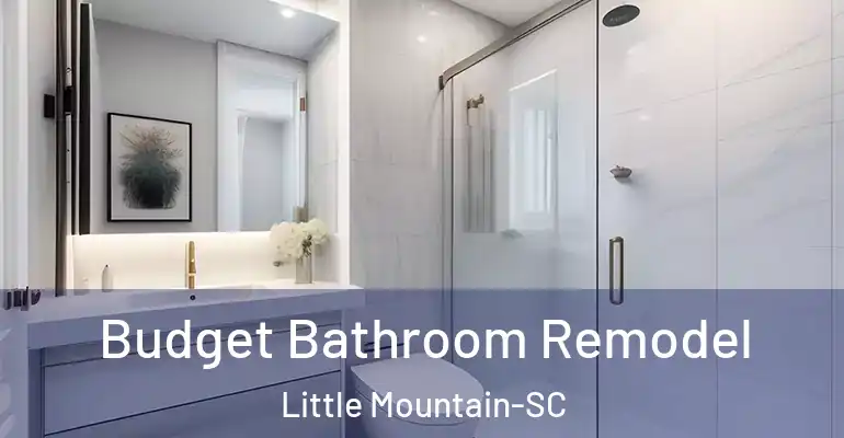 inner Bathroom imggen Budget Bathroom Remodel Little Mountain-SC