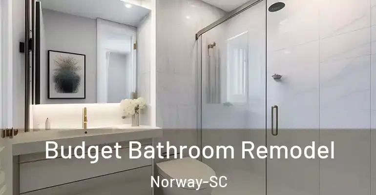 inner Bathroom imggen Budget Bathroom Remodel Norway-SC