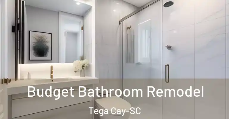 inner Bathroom imggen Budget Bathroom Remodel Tega Cay-SC