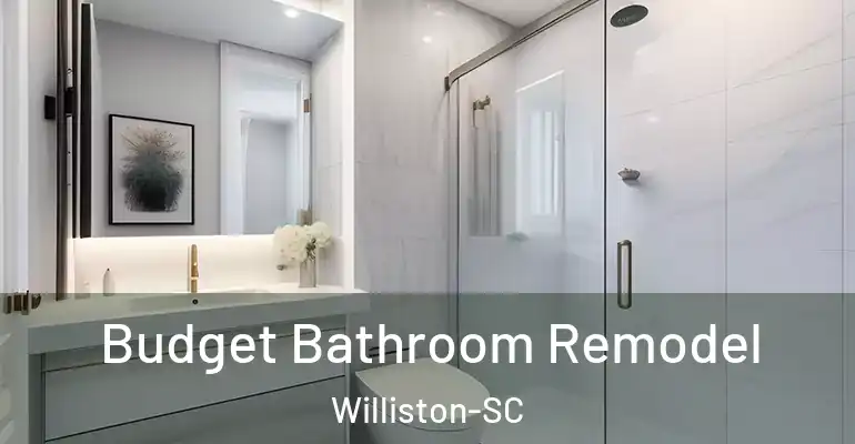 inner Bathroom imggen Budget Bathroom Remodel Williston-SC