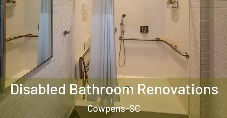 inner Bathroom imggen Disabled Bathroom Renovations Cowpens-SC