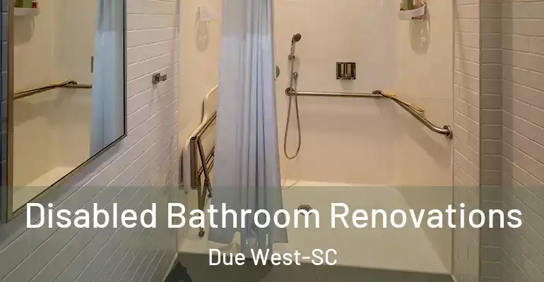 inner Bathroom imggen Disabled Bathroom Renovations Due West-SC
