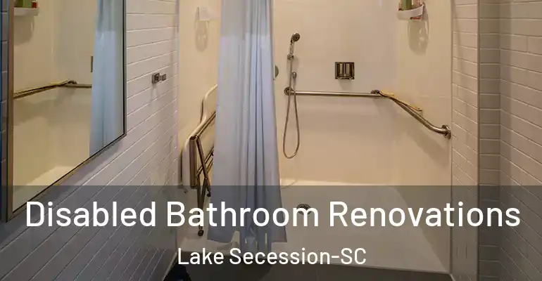 inner Bathroom imggen Disabled Bathroom Renovations Lake Secession-SC