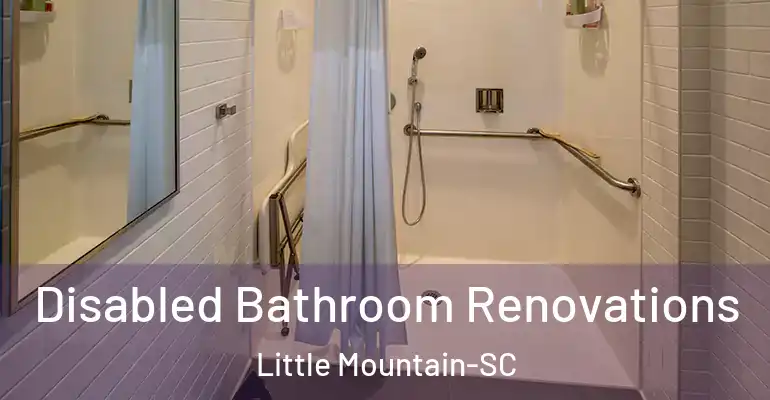 inner Bathroom imggen Disabled Bathroom Renovations Little Mountain-SC