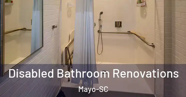 inner Bathroom imggen Disabled Bathroom Renovations Mayo-SC
