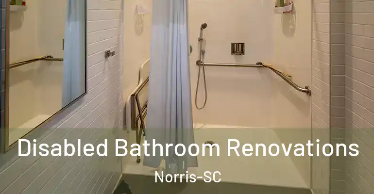 inner Bathroom imggen Disabled Bathroom Renovations Norris-SC
