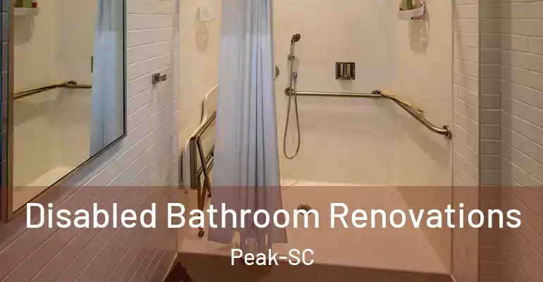 inner Bathroom imggen Disabled Bathroom Renovations Peak-SC