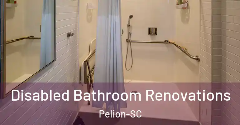 inner Bathroom imggen Disabled Bathroom Renovations Pelion-SC