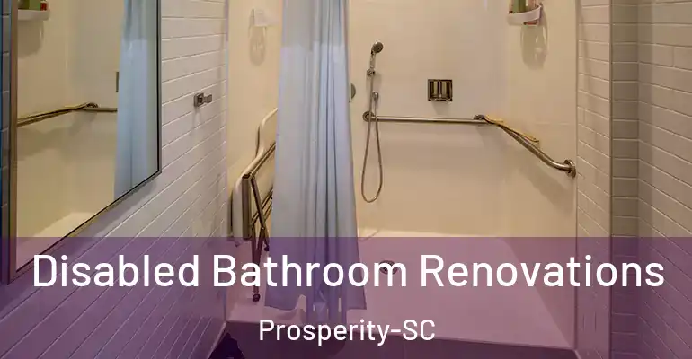 inner Bathroom imggen Disabled Bathroom Renovations Prosperity-SC