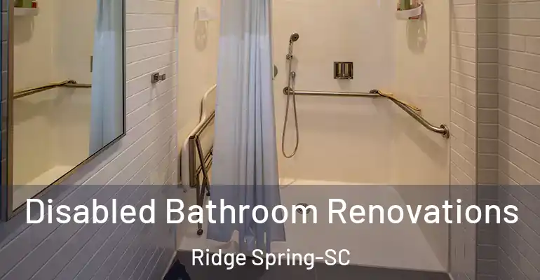inner Bathroom imggen Disabled Bathroom Renovations Ridge Spring-SC