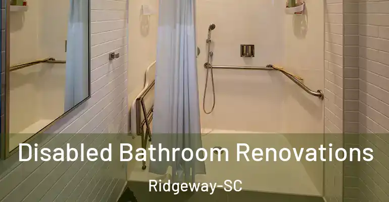 inner Bathroom imggen Disabled Bathroom Renovations Ridgeway-SC