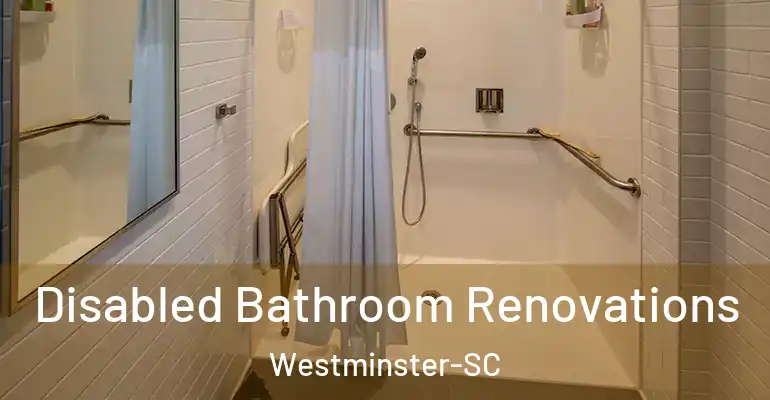 inner Bathroom imggen Disabled Bathroom Renovations Westminster-SC