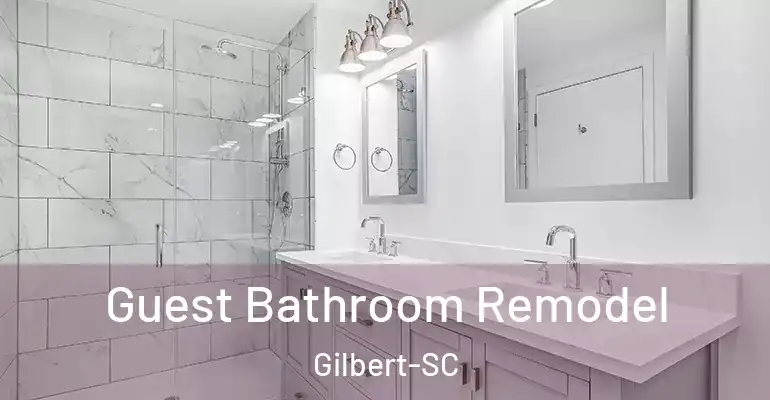 inner Bathroom imggen Guest Bathroom Remodel Gilbert-SC