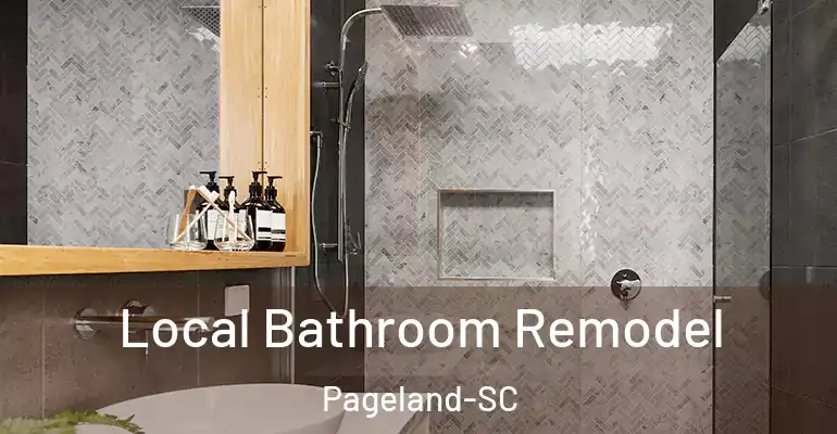 inner Bathroom imggen Local Bathroom Remodel Pageland-SC