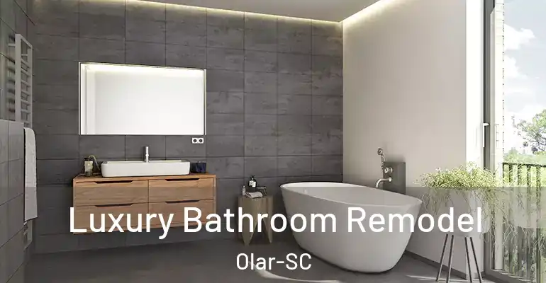 inner Bathroom imggen Luxury Bathroom Remodel Olar-SC