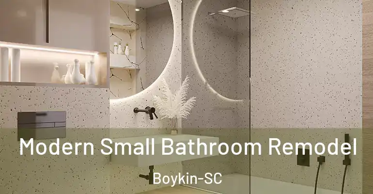 inner Bathroom imggen Modern Small Bathroom Remodel Boykin-SC